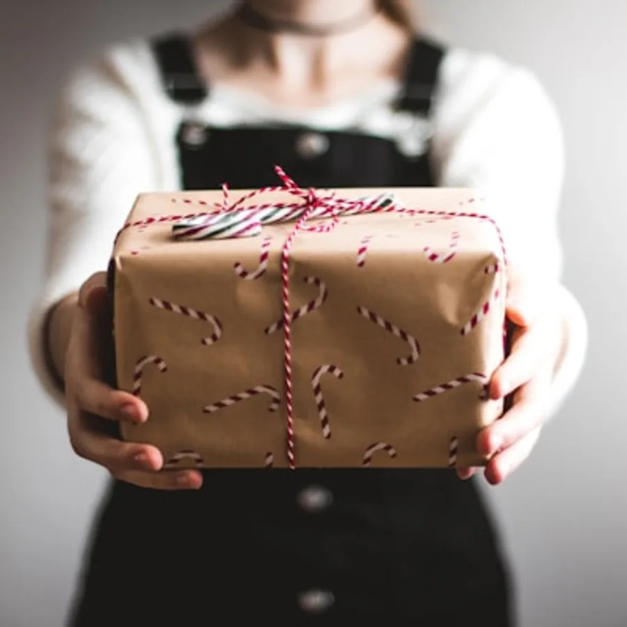 Handmade Soap Bars — Pack of 4